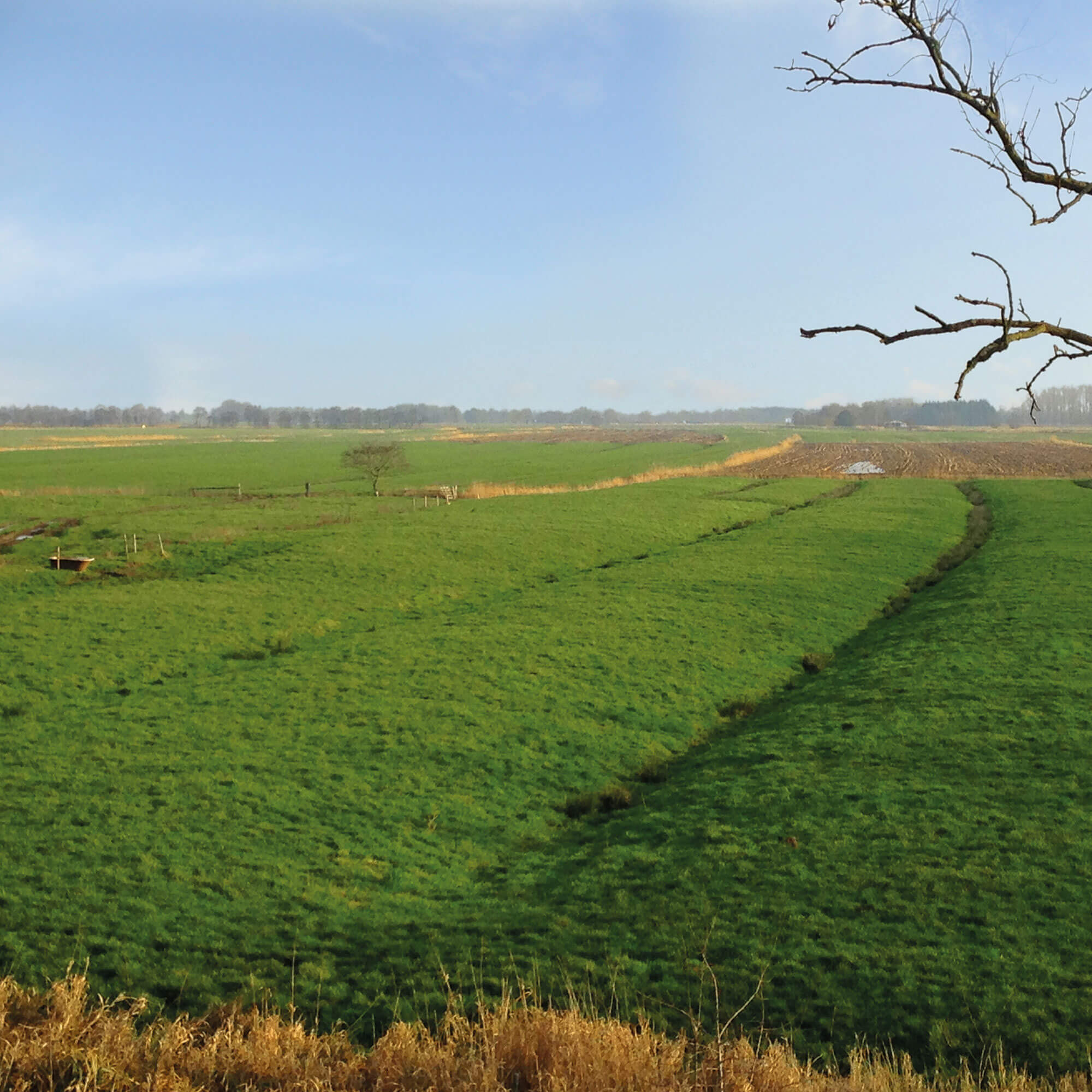 ProvinzWerkstatt &ndash; Projekte